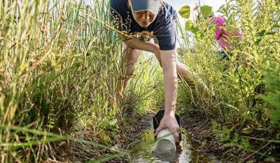 A student scooping water from small ditch of water surrounded by grasses